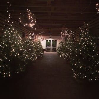 Christmas trees in a hallway with lights at Fearrington Village.