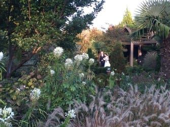 A bride and groom standing in a garden.