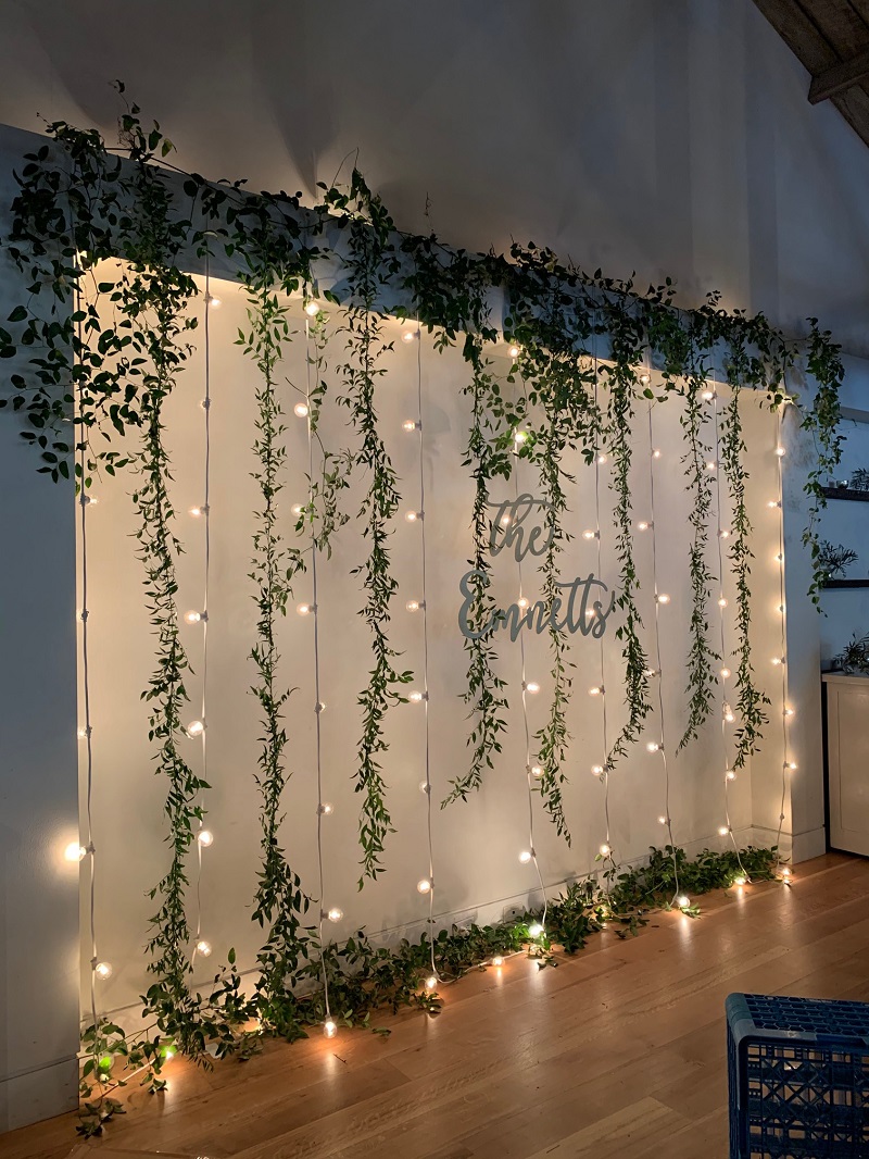 A room with greenery and lights on the wall.