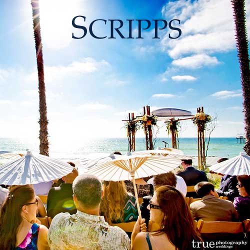 Scripps Seaside Forum Wedding guests with white parasols seated facing an oceanfront altar under clear skies at Scripps, with palm trees and a pier in the background.